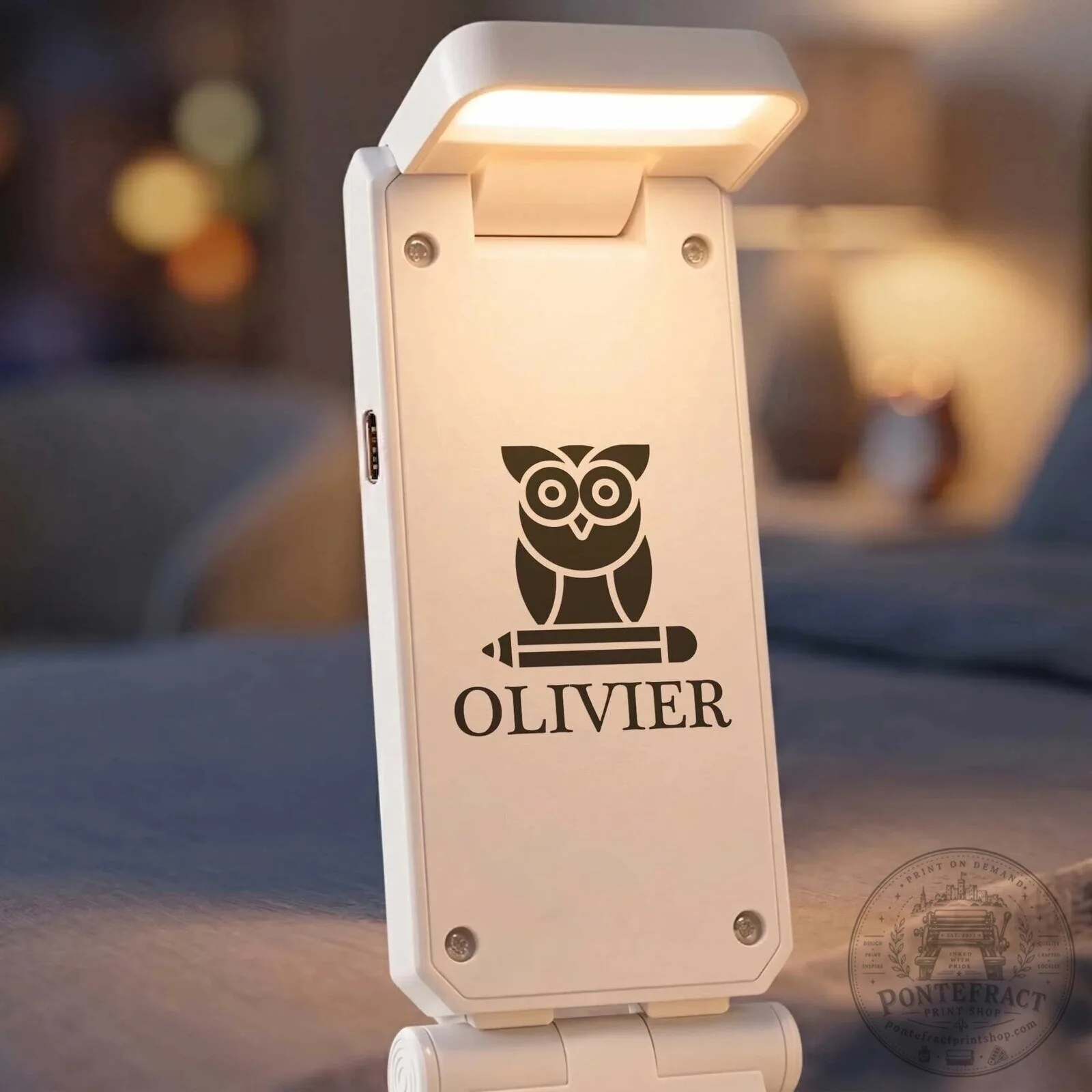 Personalized Book Dragon Reading Light, Custom Name Book Lover Clip-On Lamp 13 Personalized Book Dragon Reading Light, Custom Name Book Lover Clip-On Lamp